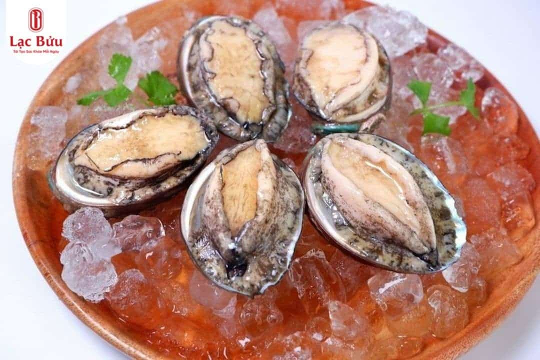 13 món ăn tẩm bổ cho người sau phẫu thuật, giúp bổ máu và nhanh lành vết thương. 2 bao-ngu-lac-buu