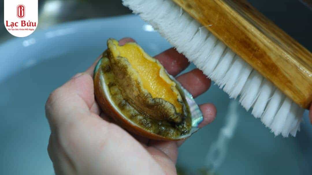 bao-ngu-lac-buu