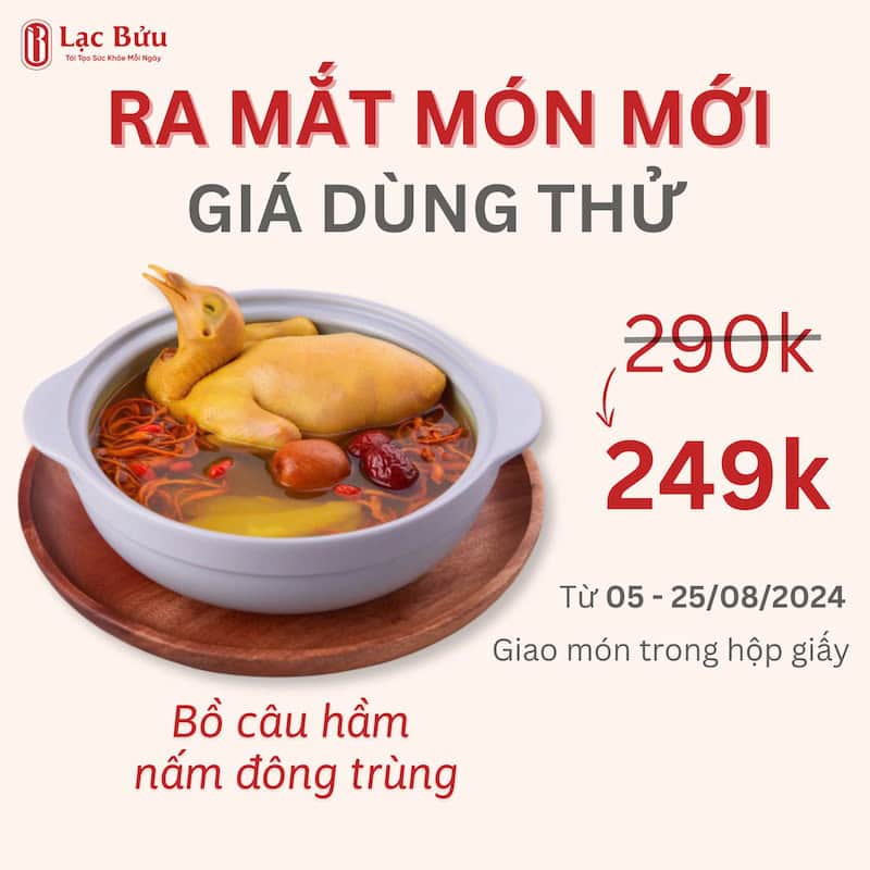 bồ câu hầm nấm đông trùng hạ thảo 249k 3