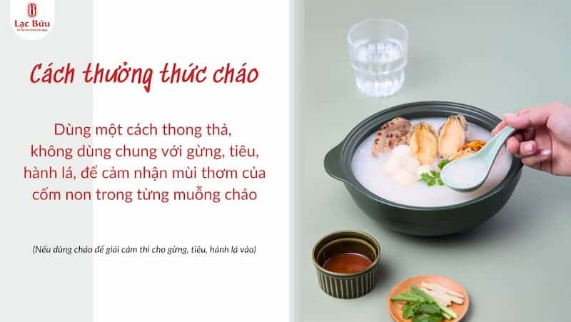 Cách nấu cháo yến cho người già nêm ít gia vị mà vẫn thơm ngon. 4 Cách nấu cháo yến cho người già